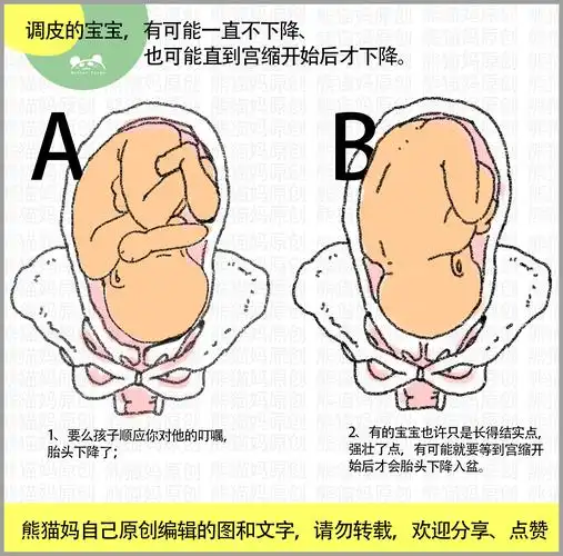 孕期5不利胎儿入盆:忌坐,骨盆狭窄,腹部肌肉结实,产后不锻炼