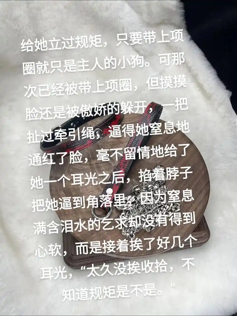给她立过规矩,只要带上项圈就只是主人的小狗.可那次已经被带上项圈