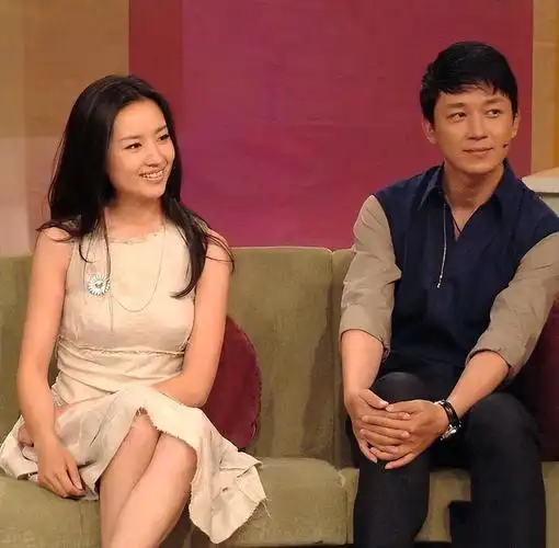 董洁个人资料 董洁王大治当年事件-思宇生活