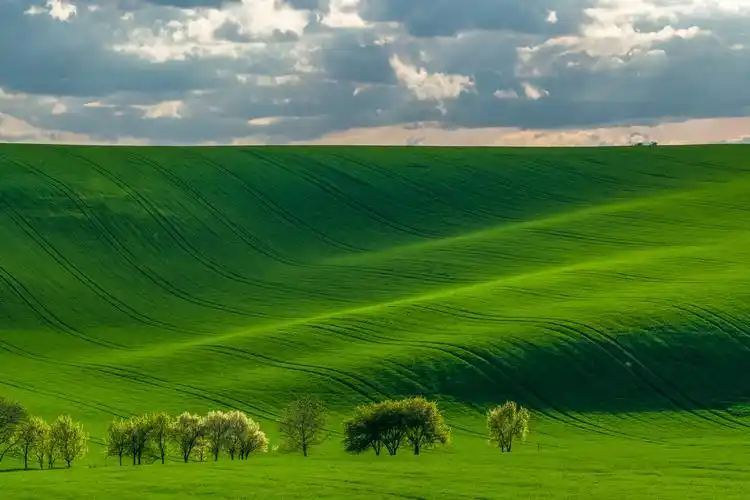 令你净化心灵的大自然墙纸