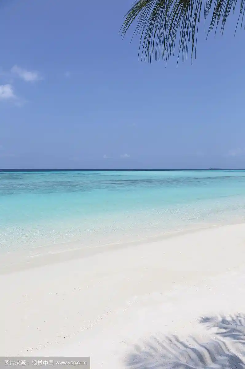 宁静,阳光明媚的海滩和蓝色的海洋,马尔代夫,印度洋