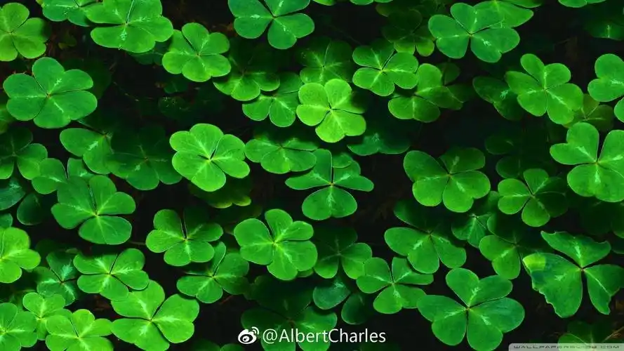 我受不了,我的心态鸭 我先护个眼