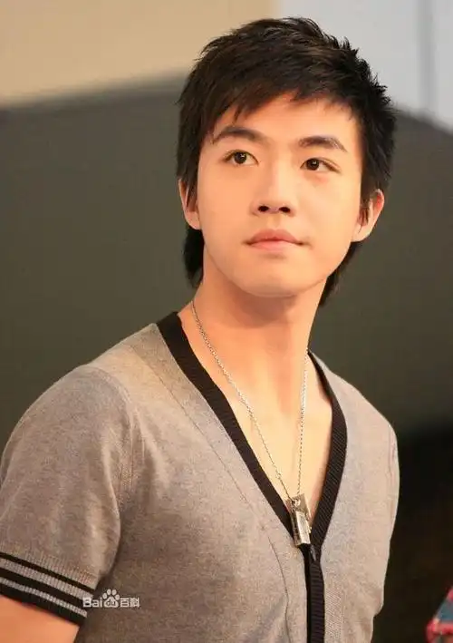 中国内地男歌手,演员,主持人.