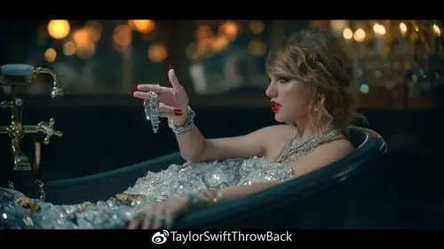 巡演地区登记网站的网址为"taylorswift.ontouraccess.