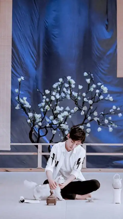 肖战壁纸有没有可爱的小飞侠