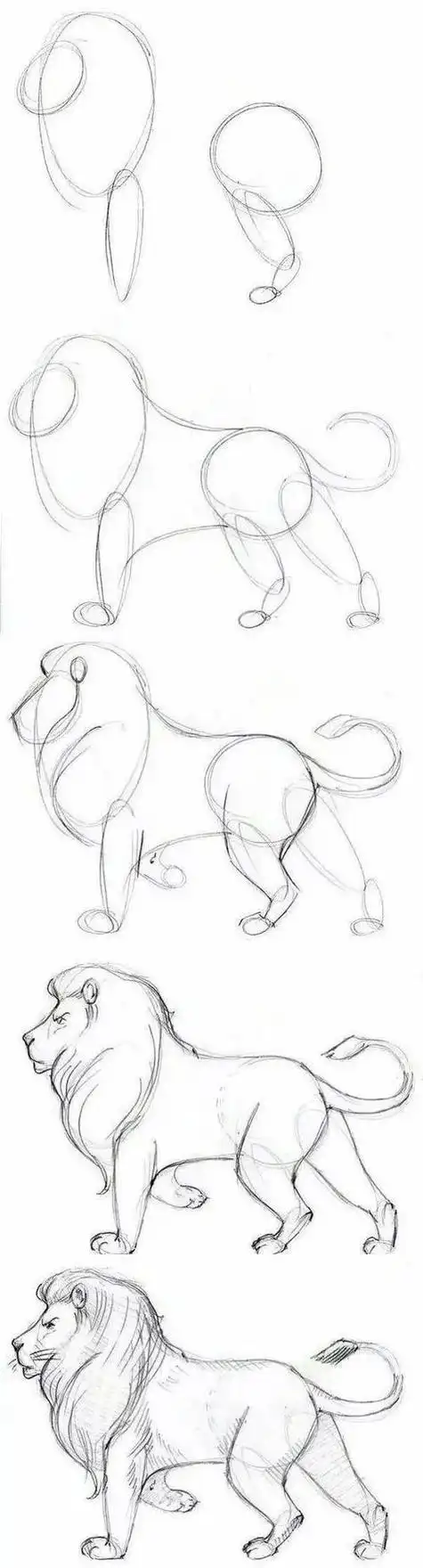 教你学画画  先来个简单的一些简笔画 比如3步画一座山脉 以上