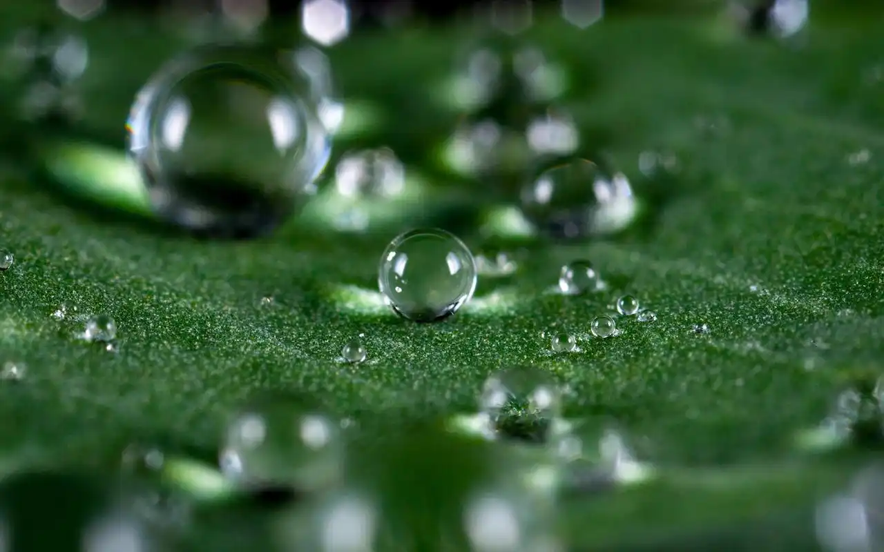 超清护眼的绿色图片桌面壁纸