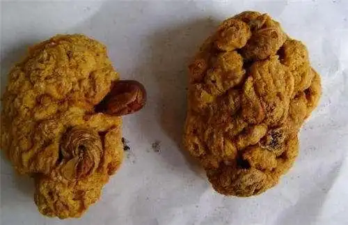 吃胎盘能大补妇科专家和吃肉没啥区别别再花冤枉钱了