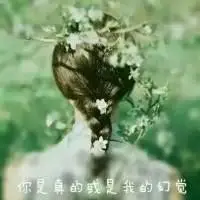 微信花草植物头像微信帅哥头像微信非主流头像微信背影头像微信素描