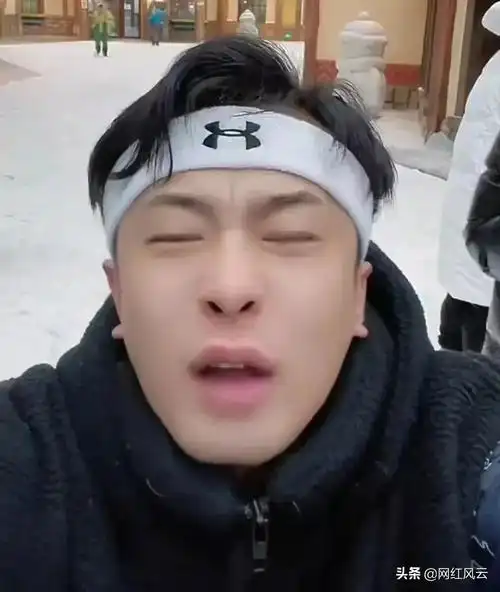 网红辛巴个人简介辛巴身价有多少个亿