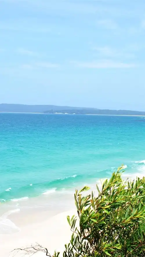 热带,海滩,植物,蓝色的大海 iphone 壁纸