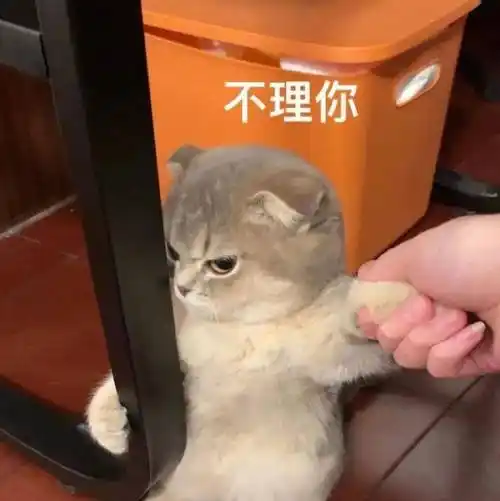 沙雕聊天表情包:不够再加