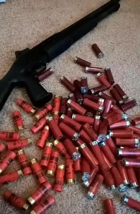 霰弹枪的乐趣和魅力,来自海外党对喷子的爱_网易订阅