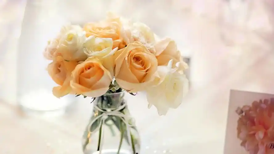 小清新精美花卉植物高清唯美桌面壁纸