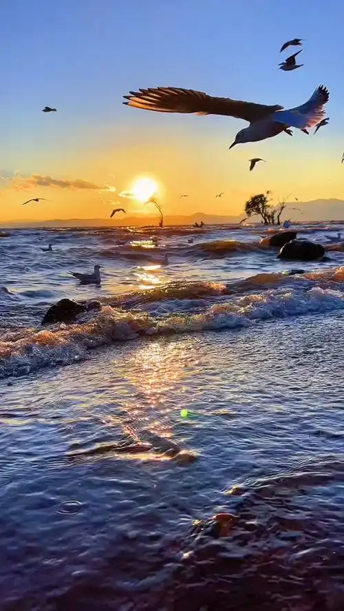 风景美如画#手机拍摄#诗与远方 #唯美意境 #醉美晚霞