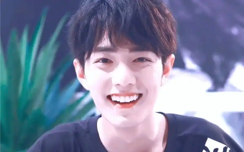 肖战治愈笑容有幸遇见你