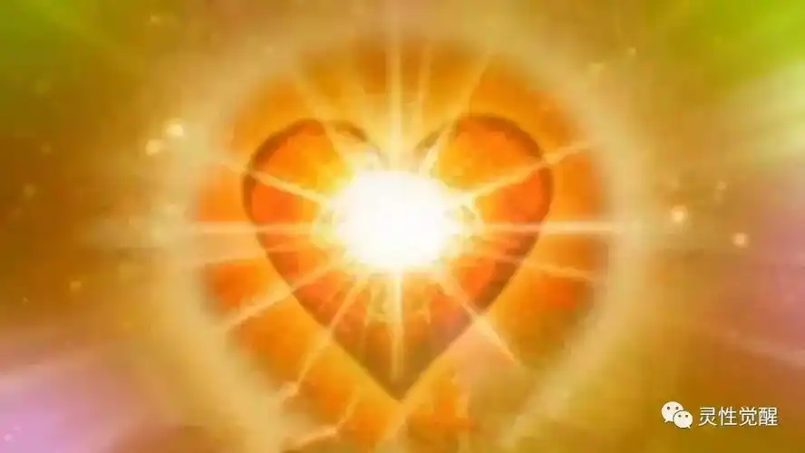 你的磁场锁定了你的命运