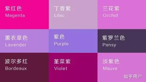 如何看待男生穿紫色衣服?