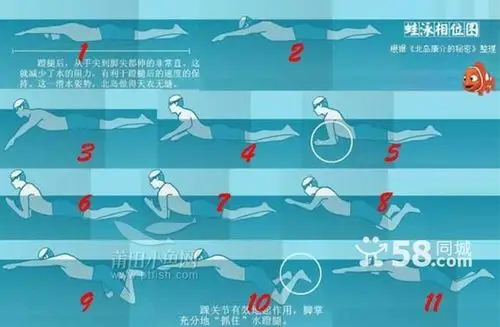 莆田市体游泳培训火热招生中 联系人壮壮15880078200