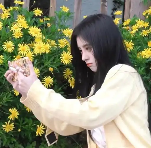 优质鞠婧祎ins赞评论更多