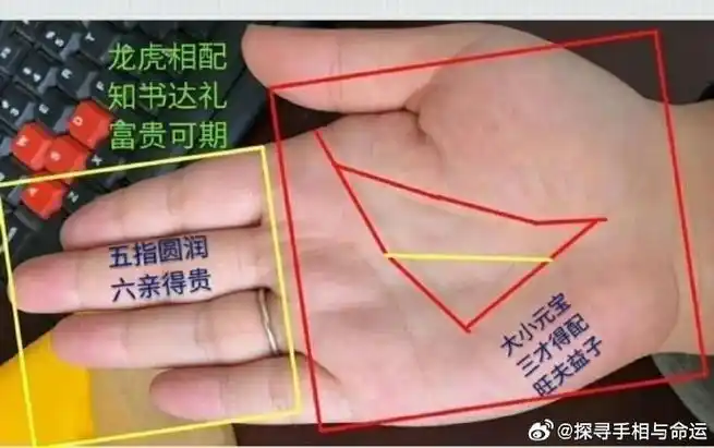 几种能出人头地的手相, 从手掌纹路,,指头看一生运势