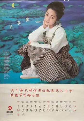 九十年代中期,有个县农村信用社印了一本全是杨钰莹美照的挂历