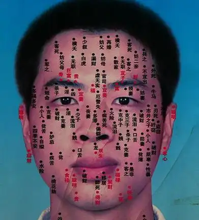 男人痣相详解男人全身痣相图解不同部位的痣的各种含义:男人发中有痣
