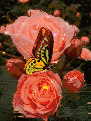 花美人,真正的风情万种!太美了!_选择