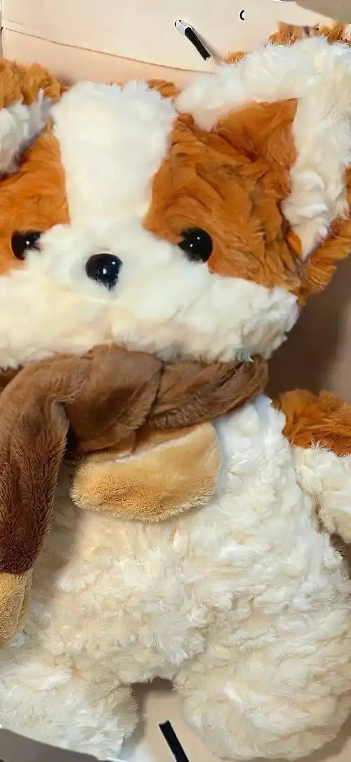 壁纸专属iphone4k高清壁纸