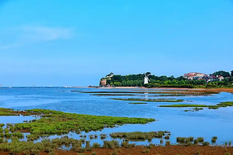 北戴河湿地