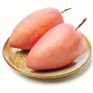 海南三亚红玉芒新鲜玉文大红芒芒果