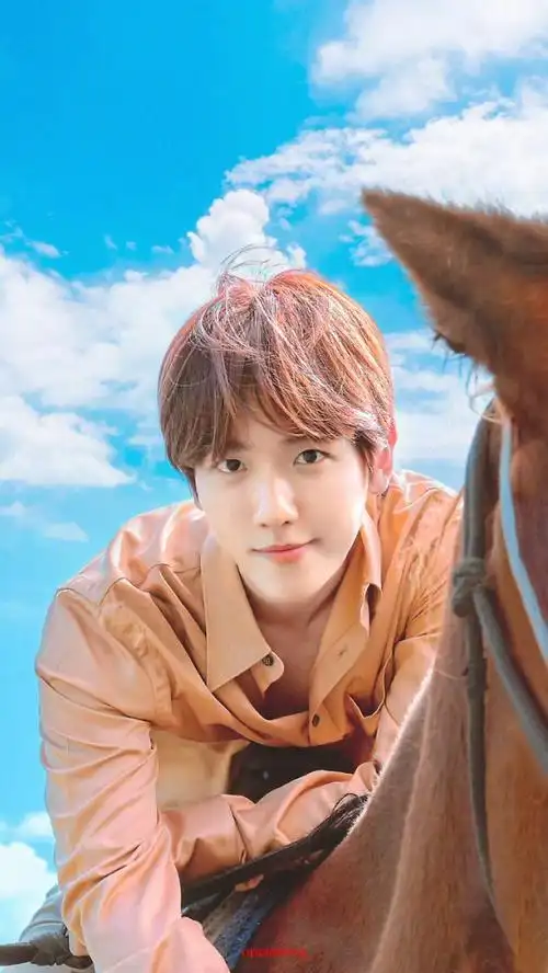 边伯贤壁纸精选80张,百变的气质