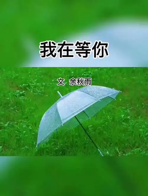 我在等你现代诗朗诵