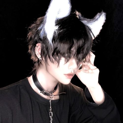 假发锡纸烫男女士头套烟花烫卷发基佬毛蓬松帅气日系日常蓬松假毛