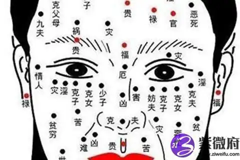 算命看女生面相痣图解大全