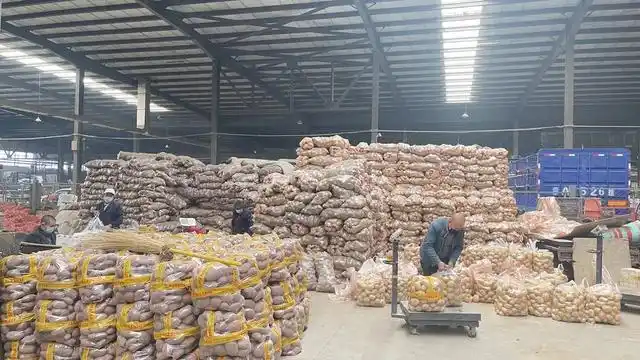 玉泉区:食全食美美通食品批发市场货源供应充足