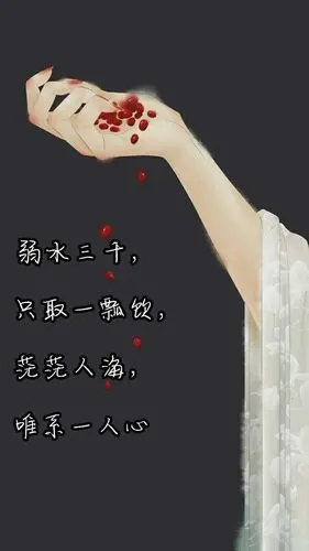 半生已过,多点快乐!