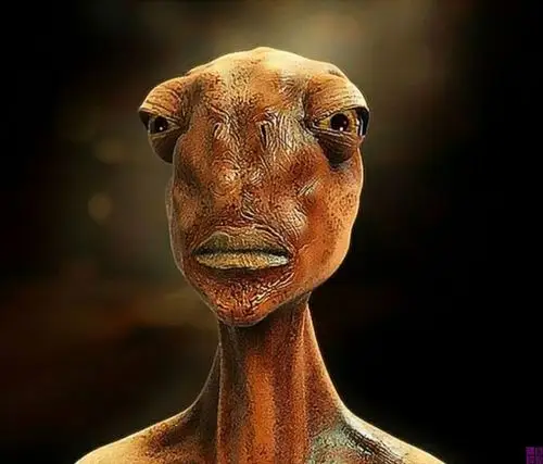 恐怖!最新研究发现的外星人照片