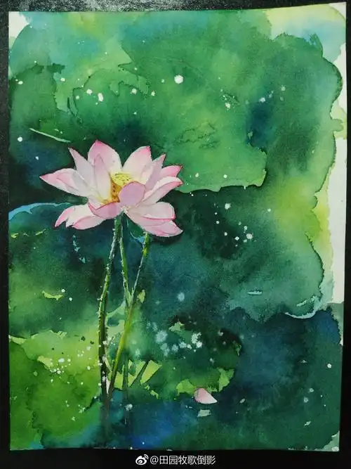 莲|纯艺术|绘画|水彩牧歌 - 原创作品 - 站酷 (zcool)