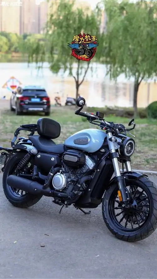 准新奔达金吉拉300