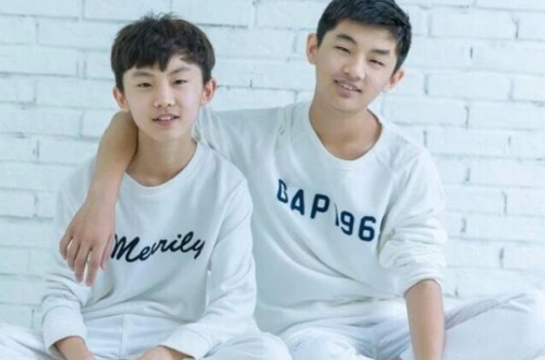 马嘉祺中戏表演专业全国第六马嘉祺双胞胎马嘉诚长什么样子