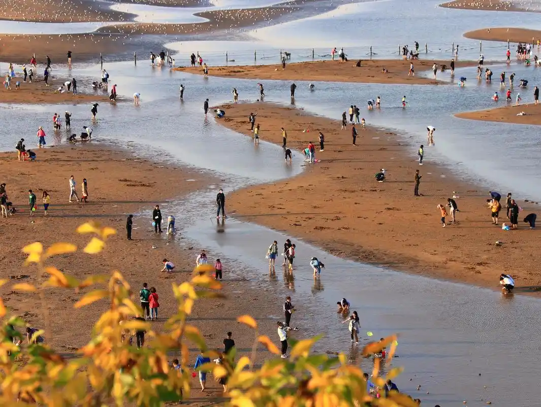 烟台市的海阳万米沙滩秋天的景色如何?