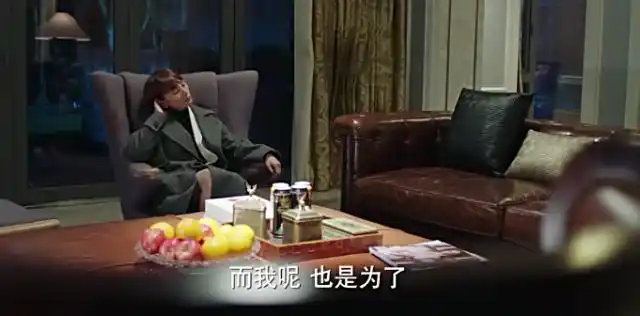 看《我的前半生》学习靳东家的装修设计风格