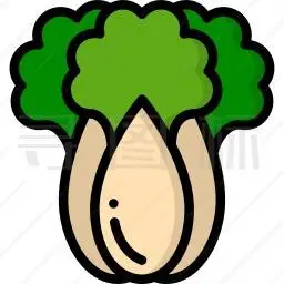 白菜图标