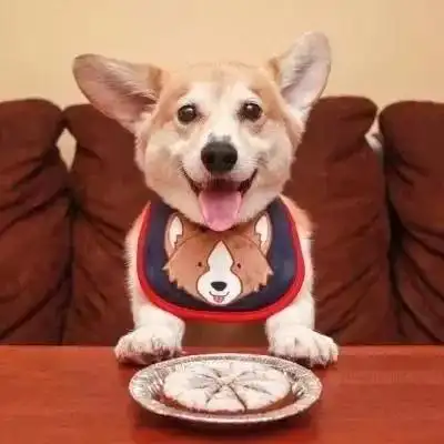 情侣头像丨如果你特无聊,我们就一起聊_情头_素材_头像_小红书