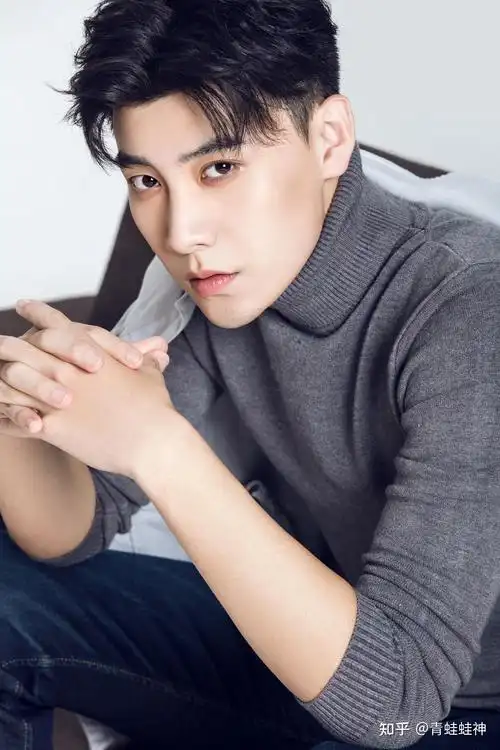 中国34省最帅男明星代表,不服来辩