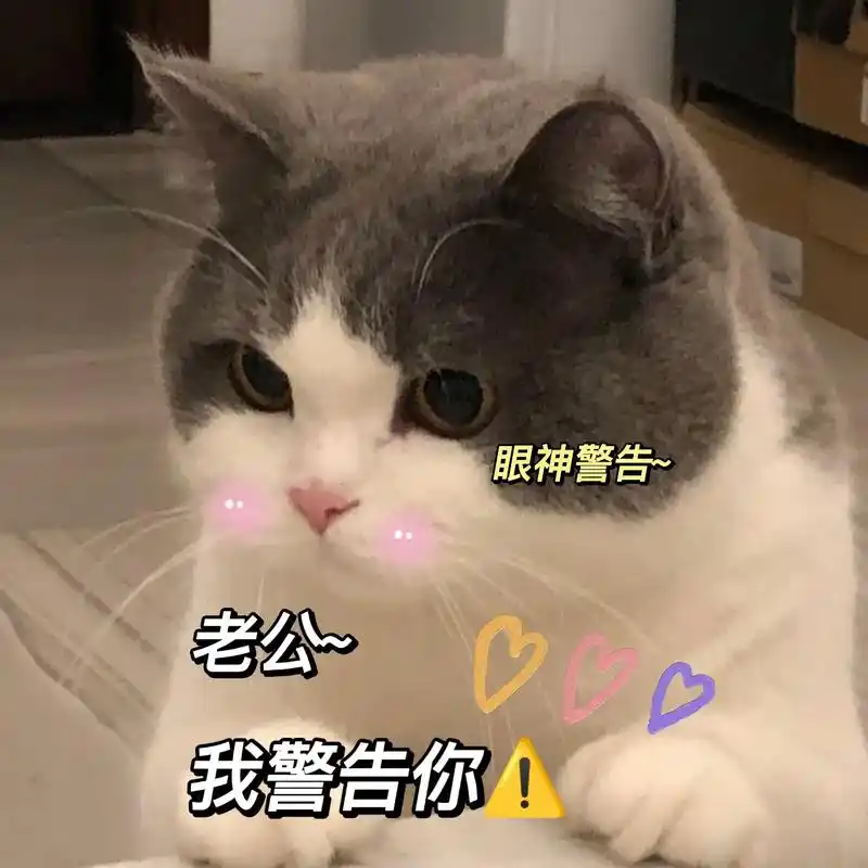 老公~我警告你#猫咪表情包 #情侣表情包 #图文表情包 #表 - 抖音