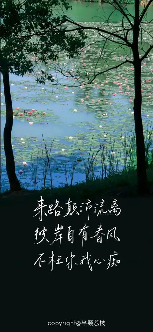 手机壁纸##春日壁纸
