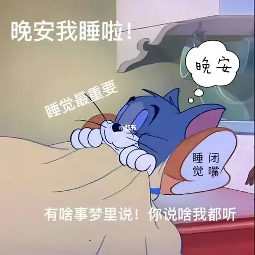 1113猫和老鼠表情包