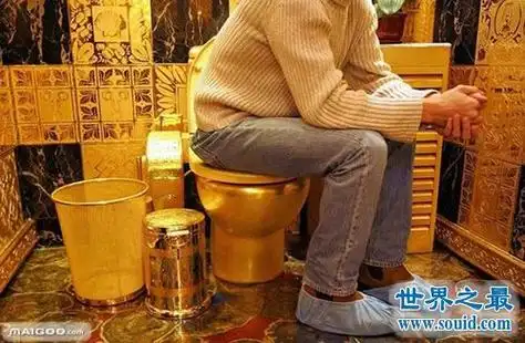 世界上最有创意的卫生间,最另类厕所不敢进